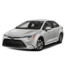 Corolla (2019-2022)