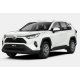 RAV4 (2018-2020)