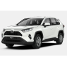 RAV4 (2018-2020)