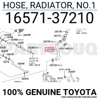 Приладдя/Двигун/Паливна система Патрубок 2016-2022 HOSE RADIATOR NO.1 XW нова 1657137210 TOYOTA Toyota(р)